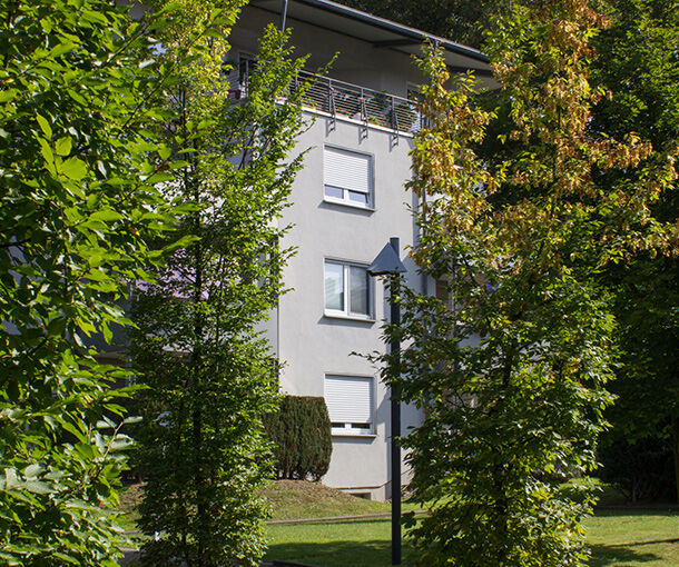 Fenster-Referenz von Schreinerei Eckhardt, Beispiel 9