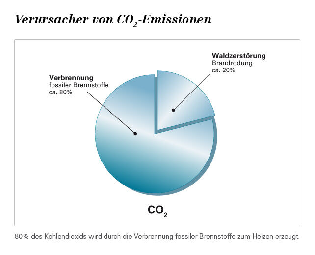 Grafik: Verursacher von CO2-Emissionen